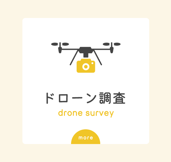 ドローン調査　drone survey